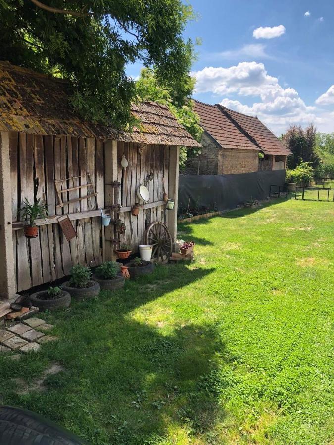 Edit Vendeghaz Balatonszentgyoergy Balatonszentgyorgy Eksteriør bilde